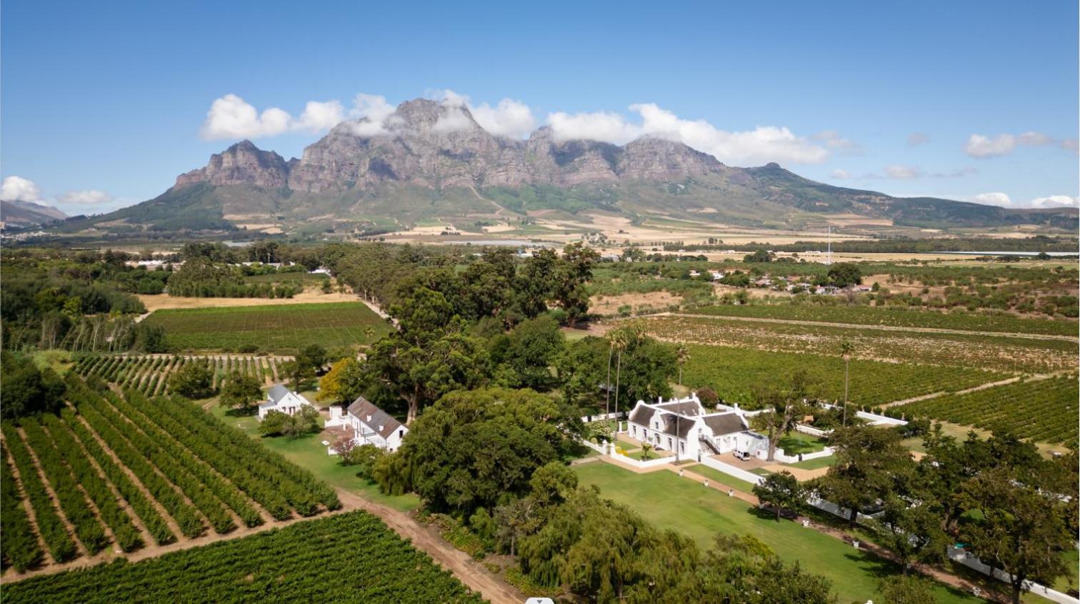 Allee Bleue Wine Estate Simondium Екстериор снимка